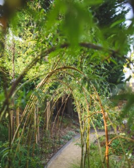 Bes Landscapes