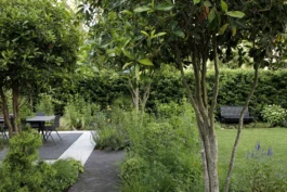  Bes Landscapes