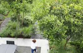 Bes Landscapes